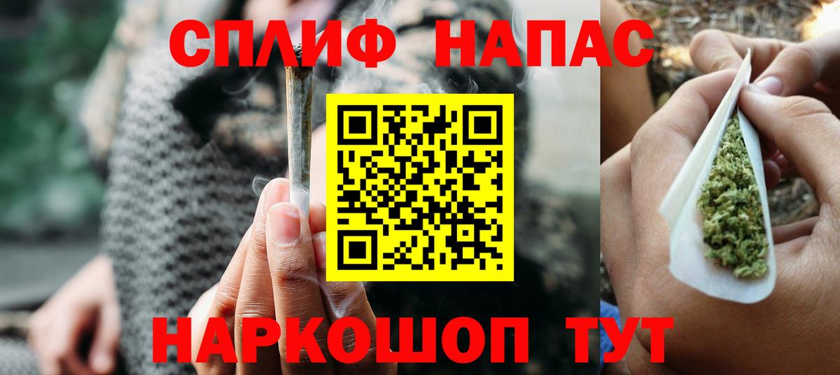 Бошки марихуана план Будённовск
